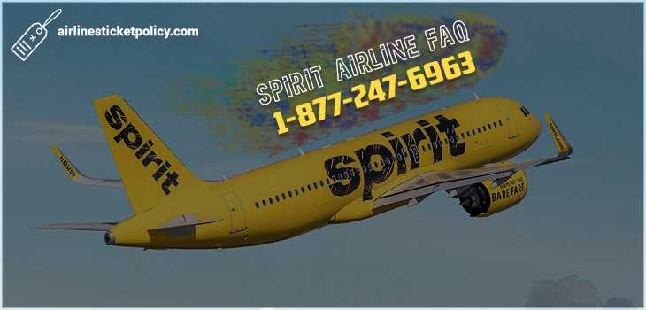 Spirit Airline FAQs