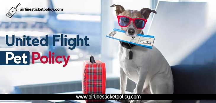United Flight Pet Policy